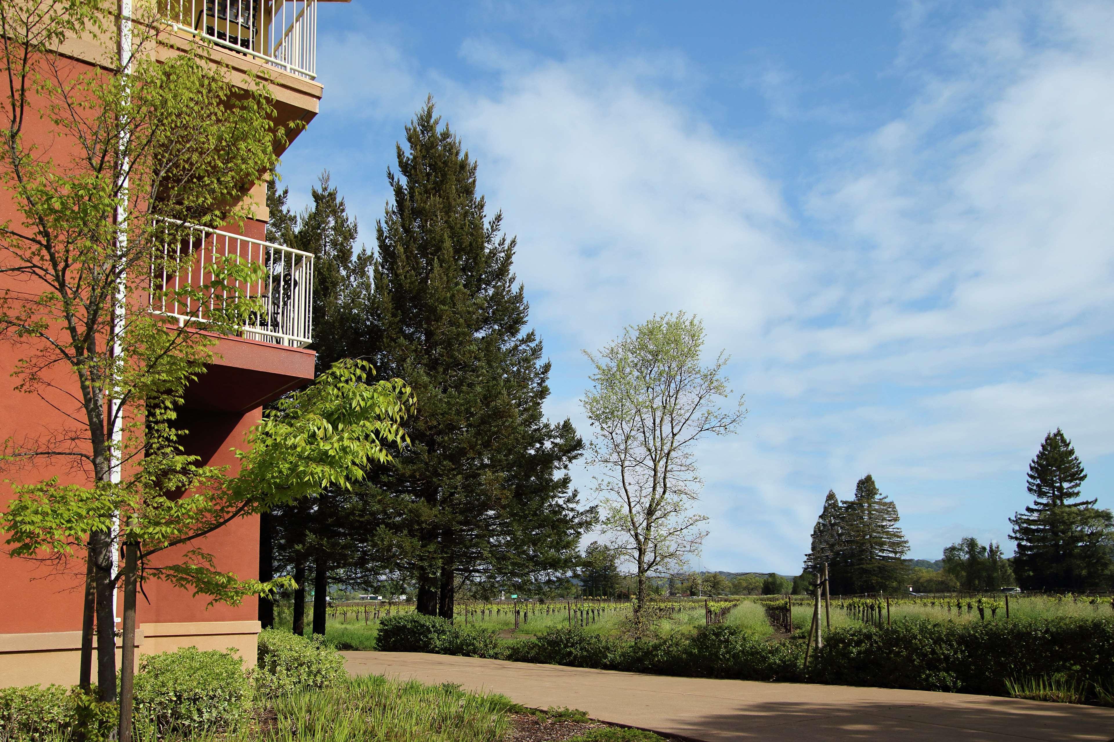 Hilton Garden Inn Sonoma County Airport Санта-Роза Екстер'єр фото