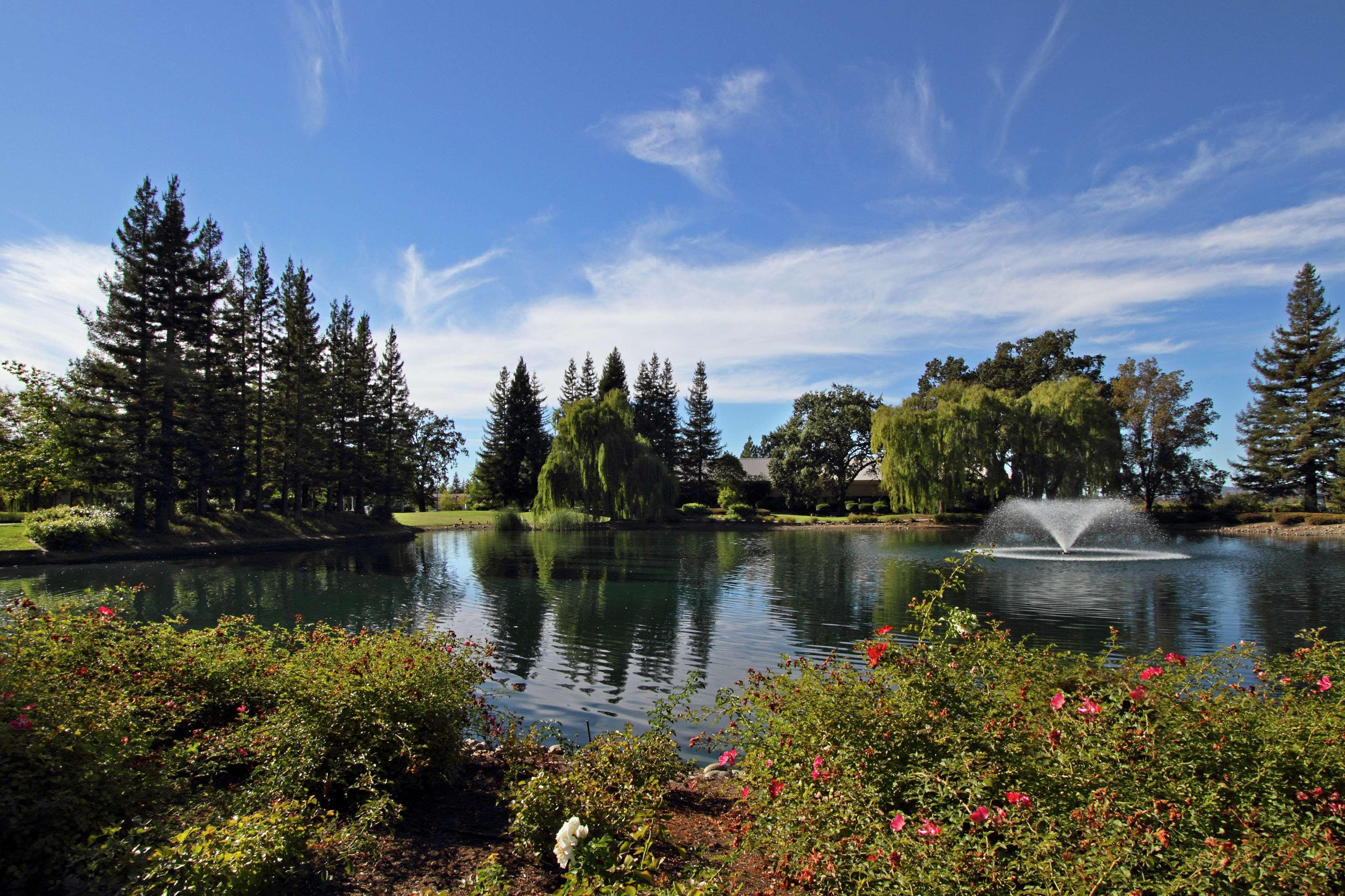 Hilton Garden Inn Sonoma County Airport Санта-Роза Екстер'єр фото